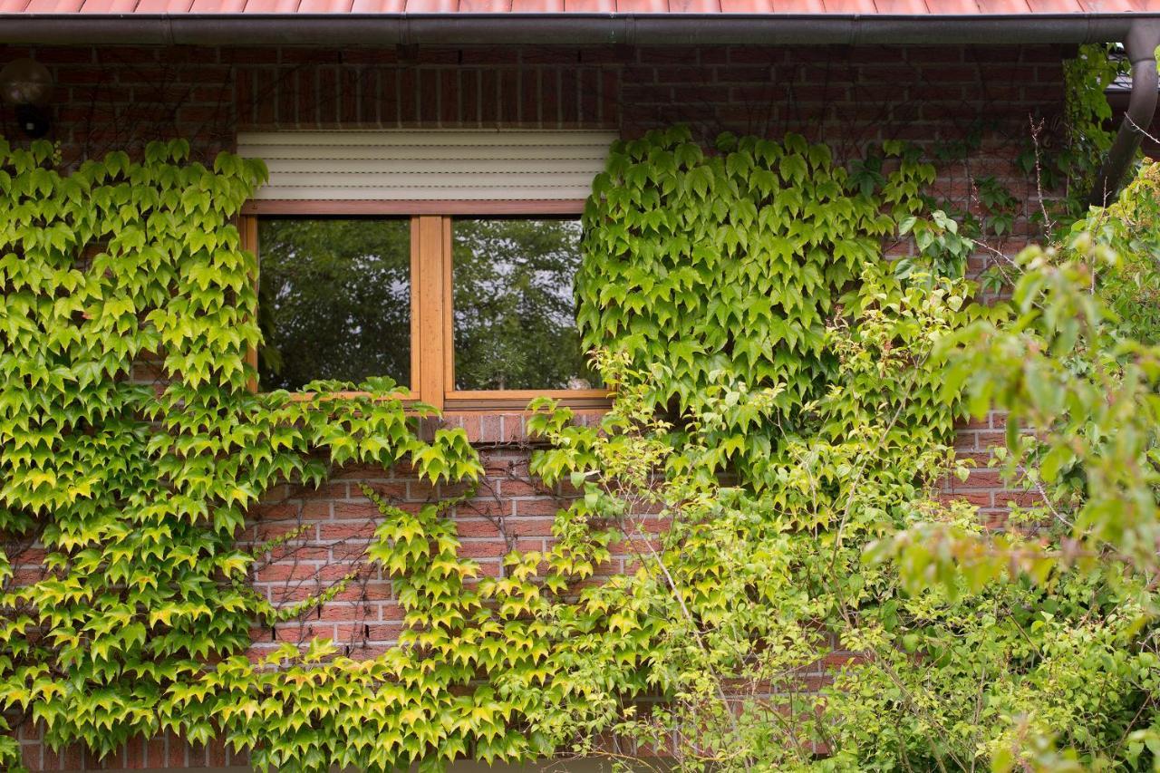 Ferienwohnung Meinersen 外观 照片